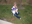 45270634_thumbnail