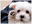 Keving_thumbnail