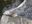 U0125691_thumbnail
